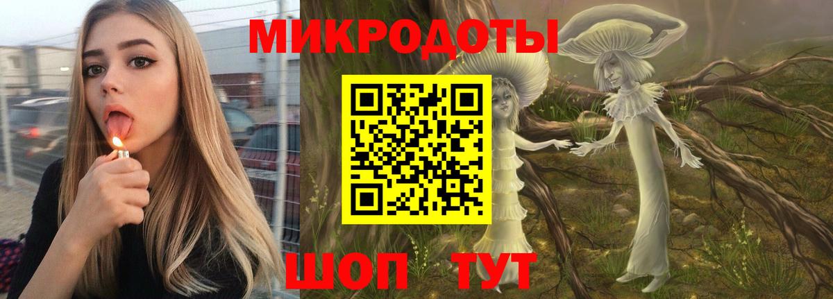Псилоцибиновые грибы Psilocybe  Вход с VPN  Санкт-Петербург 